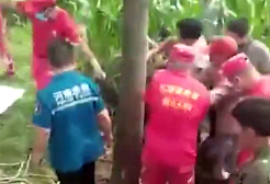 六旬老人夜间上山捕蝎失联 两日后遗体被发现