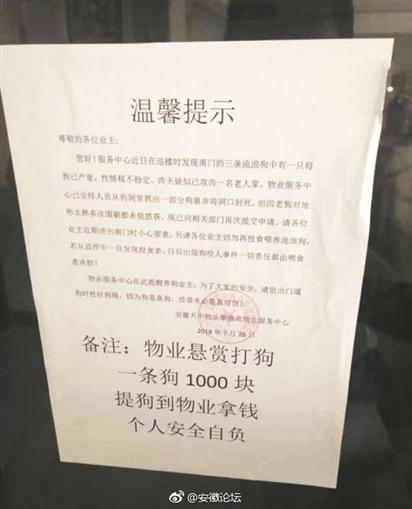合肥一物业悬赏打狗:一条狗1000块 提狗到物业拿钱