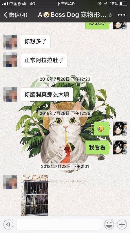 爱犬在宠物店寄养十天后死亡 主人赶到后只见骨灰盒