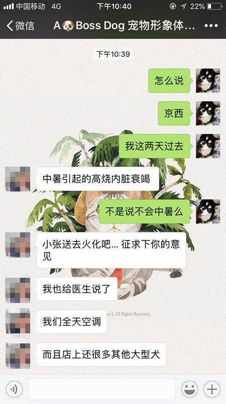 爱犬在宠物店寄养十天后死亡 主人赶到后只见骨灰盒