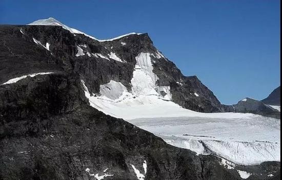 北极30度!20年后北极熊或消失 80年后这国GDP减9成