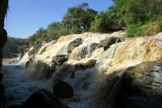 北极30度!20年后北极熊或消失 80年后这国GDP减9成