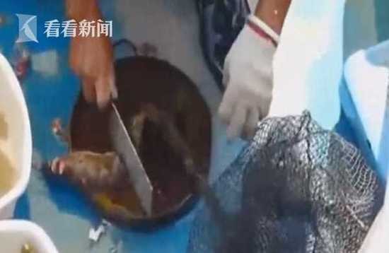 男子杀鱼时不小心划伤手指 几个月后右手被蛀空