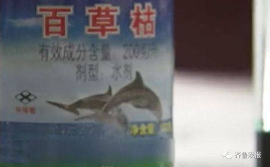 杀鱼弟喝百草枯自杀：肾脏损坏 已进入尿毒症期