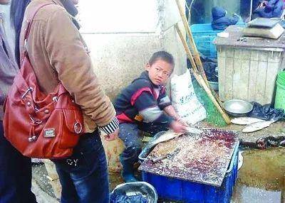 杀鱼弟喝百草枯自杀：肾脏损坏 已进入尿毒症期