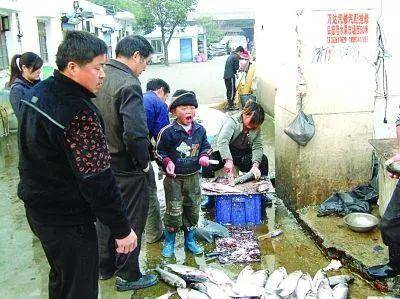 杀鱼弟喝百草枯自杀：肾脏损坏 已进入尿毒症期