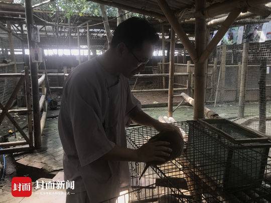 国学老师租10亩地收养百种动物办动物园 被疑作秀