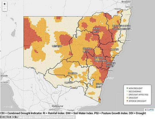 新南威尔士州饱受干旱影响