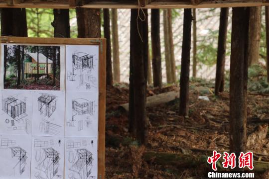 福建乡村来了“小木工”“洋木匠”