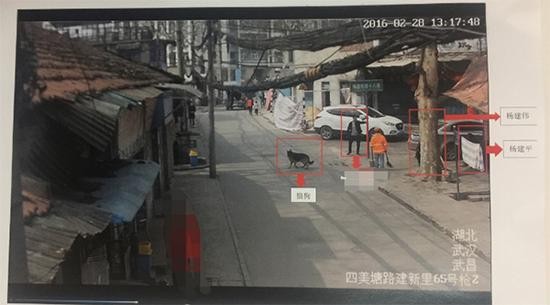 摸狗命案二审争议正当防卫 专家:法医鉴定存瑕疵