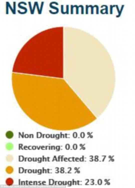 指标显示,新南威尔士州38.7%的地区受到干旱影响,38.2%的地区遭遇干旱,23%的州遭受严重干旱