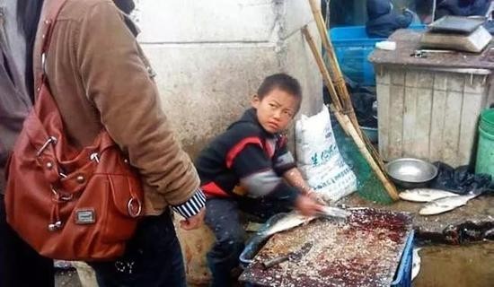 “杀鱼弟”孟凡森在网上被热传的照片。由于他杀鱼的娴熟手法和凌厉眼神而被网友热捧。图片来自网络