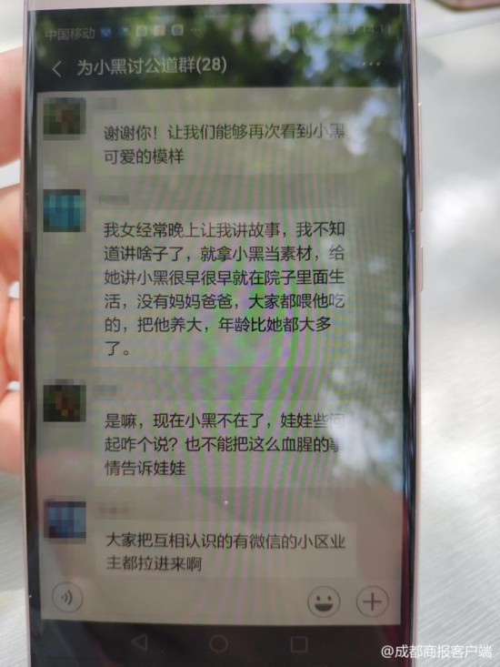 小区喂8年流浪狗被打死 爱狗业主挂横幅花圈讨公道