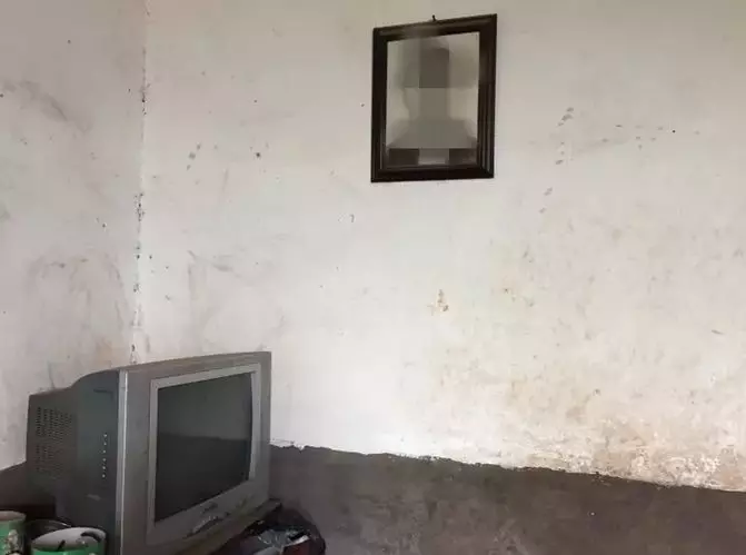 17岁少年捡菌子补贴家用遇意外离世 父亲:他最懂事