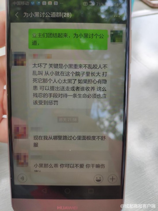小区喂8年流浪狗被打死 爱狗业主挂横幅花圈讨公道