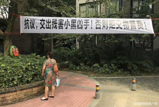 小区喂8年流浪狗被打死 爱狗业主挂横幅花圈讨公道