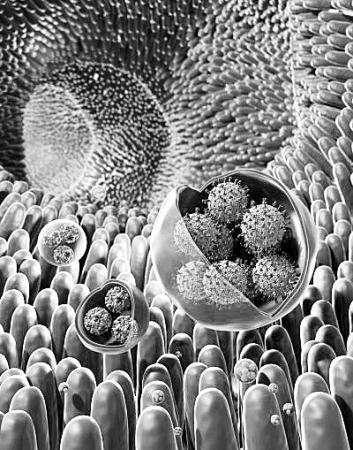 点击进入下一页