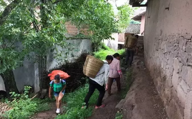 17岁少年捡菌子补贴家用遇意外离世 父亲:他最懂事