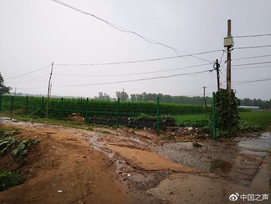 涉案土地被政府背景的文森公司用围栏圈了起来