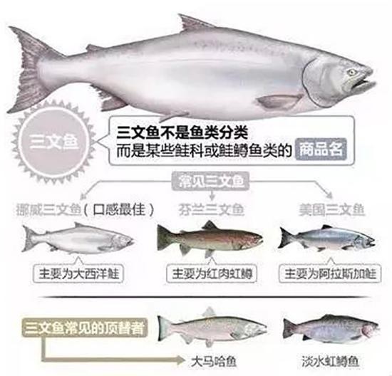 上海消保委:虹鳟列入三文鱼引消费者质疑 将讨论