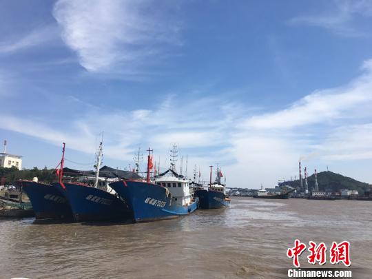 甬舟两地发布Ⅱ级防台警报浙江沿海大部分航线停航