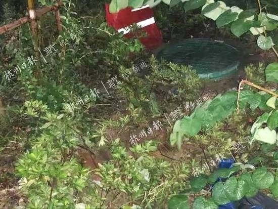 男孩33楼坠亡 事发前有人曾拍照问是谁家的孩子