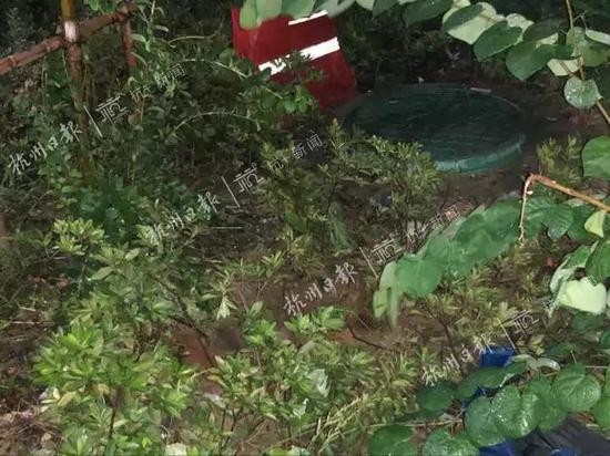 ▲小男孩坠落在地上,形成了一个坑 来源:杭州日报