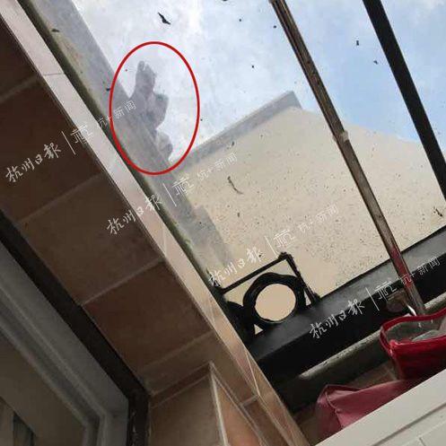 男孩33楼坠亡 事发前有人曾拍照问是谁家的孩子