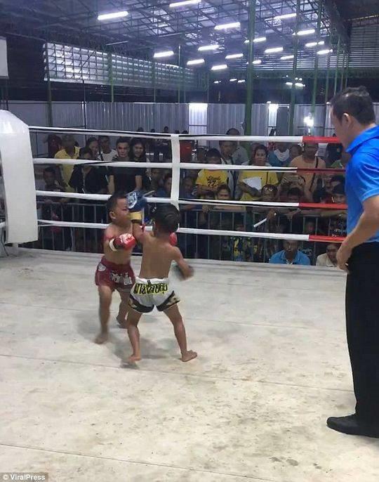 泰国5岁男孩赤膊上阵变拳击手 背后辛酸让人泪目