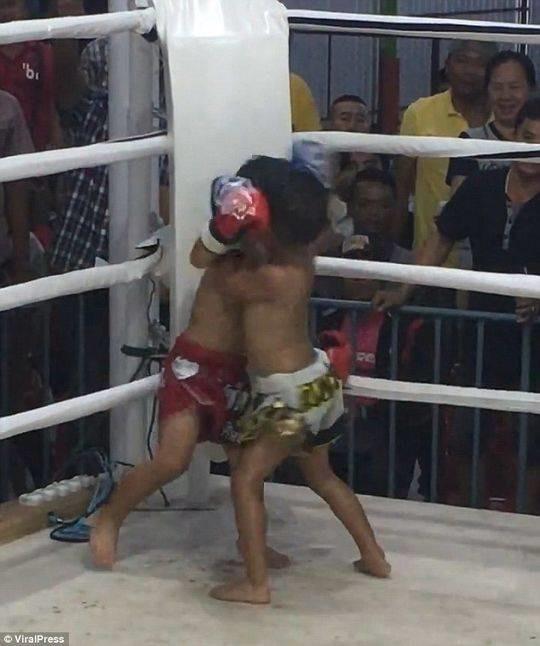 泰国5岁男孩赤膊上阵变拳击手 背后辛酸让人泪目