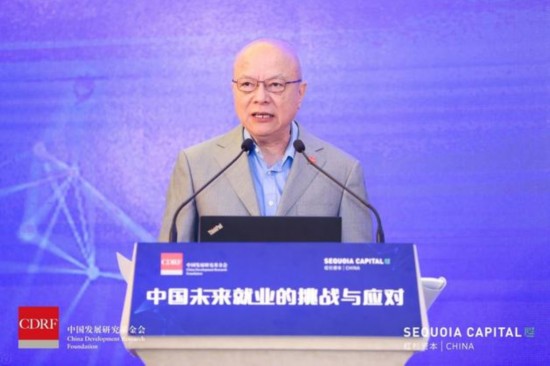 （中国发展研究基金会副理事长兼秘书长卢迈）