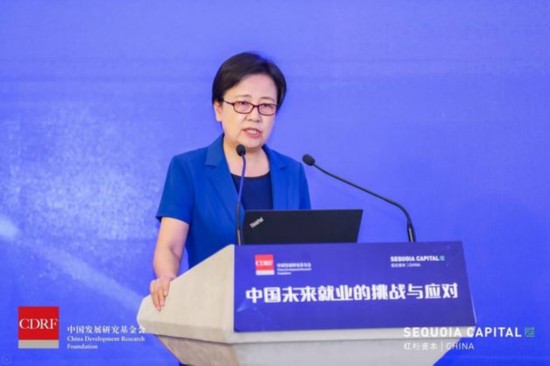 （中央新疆工作协调小组办公室副主任、教育部原副部长鲁昕）