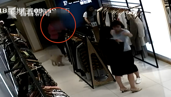 女子带娃盗窃被抓现行 10岁儿子怒斥母亲:你丢人