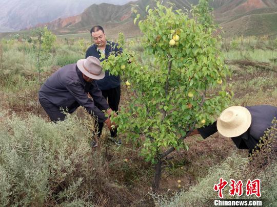 青海五年投资210亿元推动国土绿化