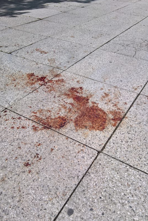 图自AfD社交媒体