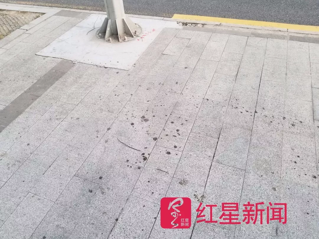 反杀案电动车主在高档饭店工作 同事称他勤快随和