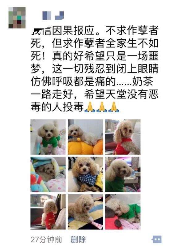 小区20多只宠物狗被团灭 草地曾出现神秘米饭