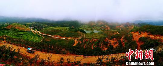 福建寿宁老区村的蜕变：从“空壳村”到富裕“樱花村”