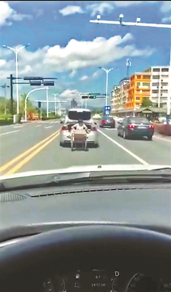 司机用手机拍违章 自己也违章被罚50元