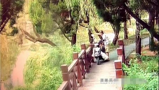 男子庆儿子考上重点大学公园放生2条长蛇 被拘5日
