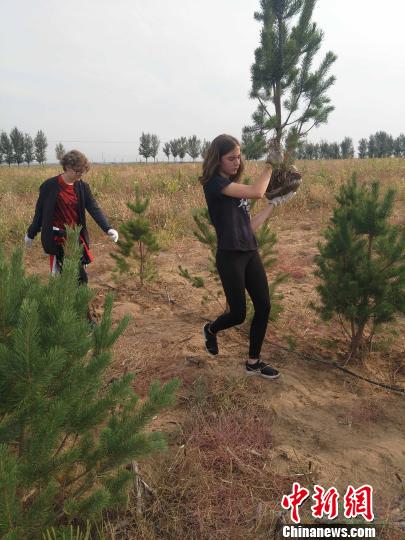 17国青少年恩格贝义务植绿激发保护环境情怀