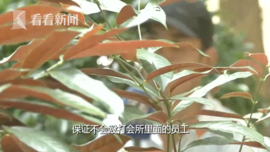 屏幕快照 2018-09-14 下午2.36.55.png