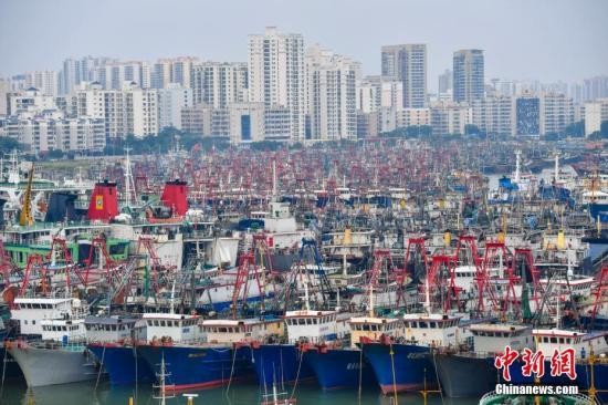 资料图:航拍在海口新海港码头,密密麻麻靠岸停泊的船只。 骆云飞 摄