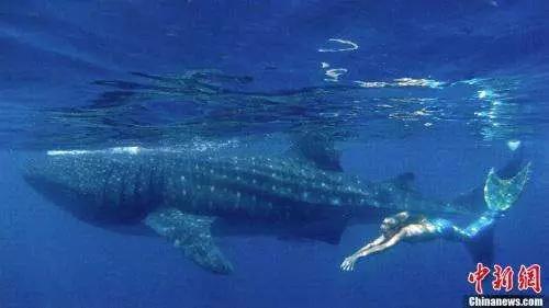 ▲资料图 来源:中国新闻网