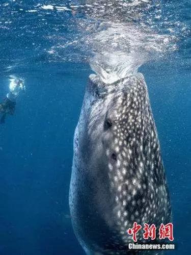 ▲资料图 来源:中国新闻网