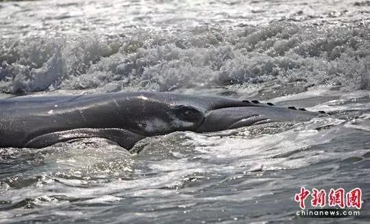 ▲资料图 来源:中国新闻网
