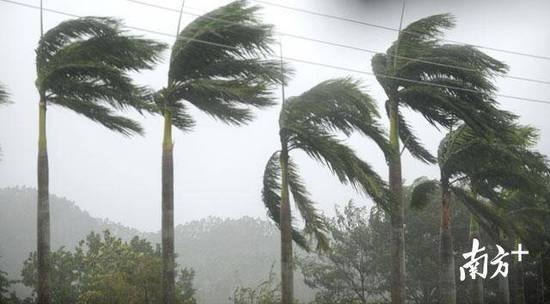 “山竹”登陆台山瞬间。南方+记者 肖雄 摄