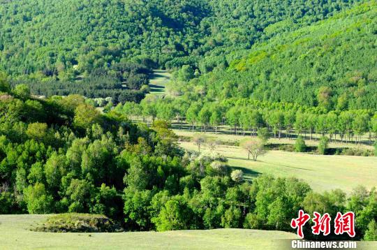 多伦县成内蒙古首个“中国天然氧吧”创建地区