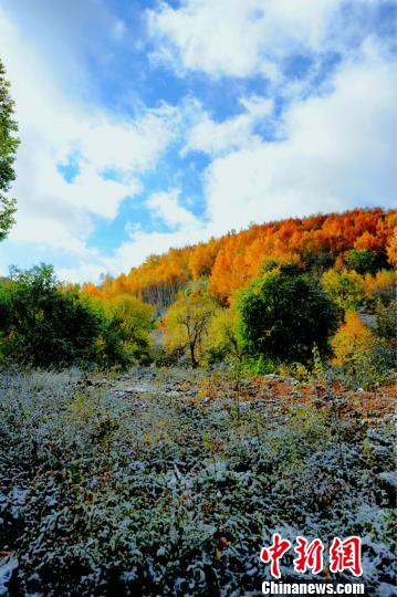 河北崇礼迎初雪呈现“秋雪盖山头”奇景