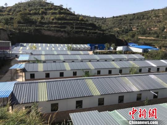 甘肃庆城“支招”贫困户:以羊入股自学养殖技术